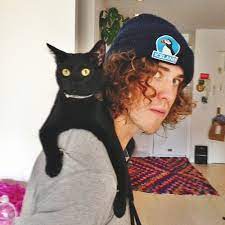 Andrew Vanwyngarden Andrew Vanwyngarden Andrew Vanwyngarden Hot Cats Musical Characters