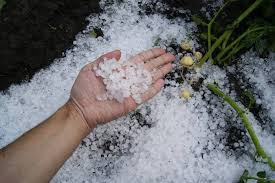 Todos os anos curitiba sofre com chuvas de granizo muito severas, podendo causar lesões em pedestres, caos no trânsito e danos ao patrimônio. Sonhar Com Chuva De Granizo Tempestade Granizo Gigante E Mais
