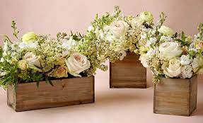 Maybe you would like to learn more about one of these? Florist In Omaha And Bellevue Everbloom Floral And Gift