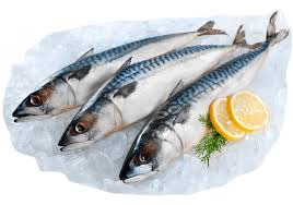 Cá Biển Ướp Lạnh Hải Sản Tươi Sống PNG - Chilled Sea Fish Fresh Seafood