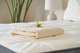 Organic Waterproof Mattress Protector In 2020 Waterproof Mattress Organic Mattresses Mattress Protector