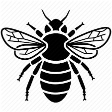 Download Bumble Bee Icon 53231 Free Icons Library