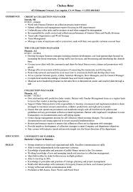 collection manager resume samples