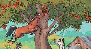 R�sultat de recherche d'images pour "miss prickly a cheval"