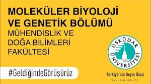 Ösym'nin güncel moleküler biyoloji ve genetik taban puanları 2021 listesi eksiksiz bu sayfada. Molekuler Biyoloji Ve Genetik Bolumunu Kimler Okumali Uskudar Uni