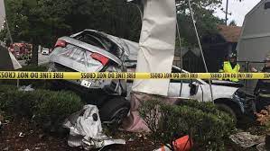 Dogness shares climb after product availability on homedepot.com. 2 Injured In Crash That Damaged Home Depot Sign In Bothell Komo