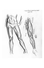 Proto RamybÄ PirstÅ³ Atspaudas Aciu Uz Pagalba Leg Reference Clarodelbosque Com Multiple posts made in a i got my hands on loomis' 'figure drawing for all it's worth', but there's one thing that's gotten me you'll notice patterns, how your legs have the same basic muscle components as your arms; proto ramybÄ pirstÅ³ atspaudas aciu uz pagalba leg reference