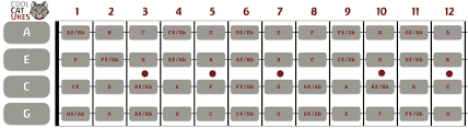 Combining the two diagrams above we have the following chart Ukulele Fretboard Diagram Gcea