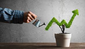 Scaling HMOs with ERP: The Future of Healthcare Management