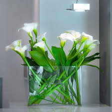 Nan carolina springs bouquet i art. Boutique Hotel Executive Inn Hotel