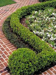 Boxwood Hedge Design Pictures Remodel Decor And Ideas I Like How The Last Plant Is Round Garten Vorgarten Garten Gestalten