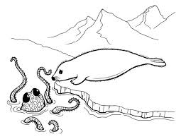 For boys and girls, kids and adults, teenagers and toddlers, preschoolers and older kids at school. Octopus And Seal Coloring Page The Inky Octopus