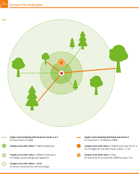 This means learning to use the discriminator. metal detectors can be set to make different beeps when they detect different metals. Bmel Bundeswaldinventur Title Bmel Federal Forest Inventory Surveying The Forest