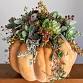 Pumpkin Flower Pot Workshop event in Wantage