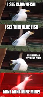 Make nemo seagulls mine memes or upload your own images to make custom memes. Finding Nemo Mine Mine Mine Mine Mine Imgflip