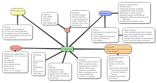 Pin By Deirdre Crist On Pre Eclamsia Nursing School Survival Concept Map Nursing Study