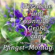 Da hast du tausend morgengrüß! Pin Von Heinrich Thoben Auf Pfingsten Frohe Pfingsten Pfingsten Pfingstgrusse