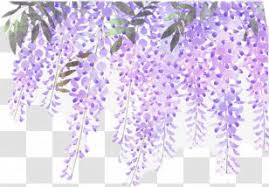 Maybe you would like to learn more about one of these? Lavender Purple Flower Png Images Transparent Lavender Purple Flower Images