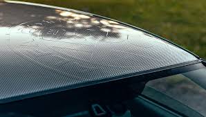 Image result for Verde Boreale 2008 147