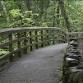 Nature Walk event in St. Petersburg, FL