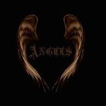 The Angels (official)