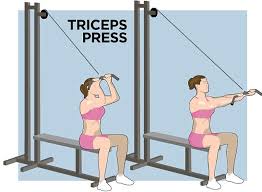 Bring hands together while pressing forward. From Flab To Abs The Three Minute Muffin Top Blaster Cable Machine Workout Cable Workout Workout Routines For Beginners