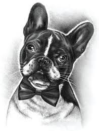 Check spelling or type a new query. Step By Step Drawing A French Bulldog Charcoals