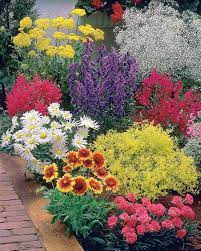 Uitgebreide vertaling voor parterre de fleurs (frans) in het spaans. Massif De 8 Plantes Vivaces Fleuries Jardin Facile Collection Willemse