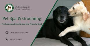 In addition to providing compassionate, quality veterinary care—using only the best equipment and techniques—we educate our clients, partnering with them for a lifetime of health and happiness. Old Dominion Animal Health Center Is Your Veterinarian In Mclean Va And Offers High Quality And Affordable Pet Sp Pet Health Dog Vet Care Dog Training Near Me