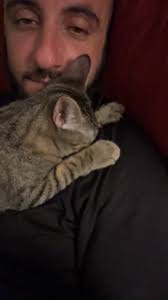 Anyone elses kitten do this amount of sucking. Literally does it until he  doses off. #foryoupage#fypシ゚viral#kittensoftiktok#asmr #teething