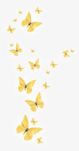 Butterflies Float Butterfly Animal Fly Png Transparent Clipart Image And Psd File For Free Download Butterfly Wallpaper Iphone Butterfly Wallpaper Backgrounds Butterfly Wallpaper