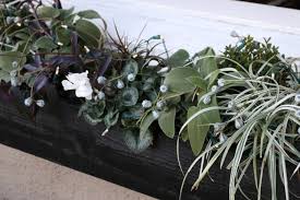 Maybe you would like to learn more about one of these? Diy Holiday Window Boxes Instant Gratification Edition Gardenista