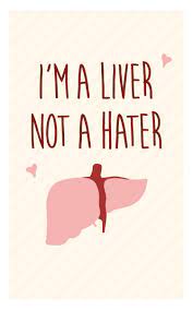 I M A Liver Not A Hater Medical Jokes Medical Humor Medical Puns