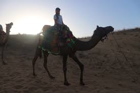 Mrs fossett runs an errand in the town while her husband holds on to the reins. Camel Safari Pushkar Mattandsophstikitour