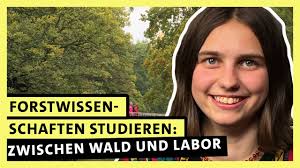 Forstwissenschaften studieren: Stirbt der Park?