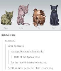 Pin By Jerseydee Fago On Tumblr Humor Tumblr Funny Art Cats