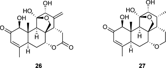 Image result for Alectra orobanchoides