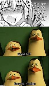Kowalski Analysis Nt 9gag