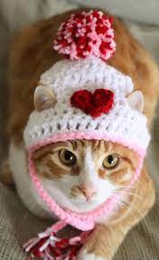 Valentines Day Hat For Cats Heart Cat Hat Valentines Day Cat Accessories Heart Hat For Cats Kittens Small Dogs Valentines Day Cat Valentines Day Cat Cat Hat Cat Accessories
