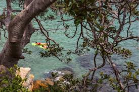 Halfway between austin and san antonio, travelers will find san marcos, texas, a thriving city on the banks of the san marcos river. Everything You Need To Know To Go San Marcos River Tubing