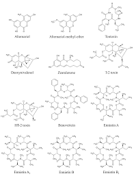 From the 15th to 18th centuries, when the disintegrating khanates of the golden horde were conquered by russia, tatars from the crimean khanate frequently raided eastern slavic lands to capture slaves.141 further east. Toxins Free Full Text Presence Of Mycotoxins In Milk Thistle Silybum Marianum Food Supplements A Review Html