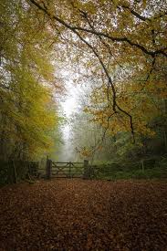 Pin By Annamaria Oc On Beauty Of Fall Nature Images Landscape England And Scotland