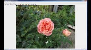 It allows you to view, manage, resize and edit your photos. Xnview Mp Youtube