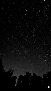 Mt43 Starry Night Sky Star Galaxy Space White Black Night Sky Wallpaper Black Wallpaper Night Sky Stars