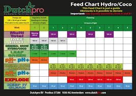 Dutch Pro_hydro Cocos Chart Autoflower Portal