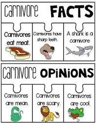 Carnivore Herbivore Omnivore And Food Chain Herbivore And Carnivore Carnivores Herbivores Omnivores Omnivores Activities