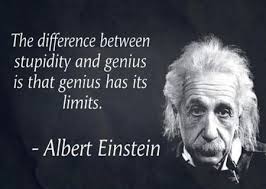 The Difference Between Stupidity And Genius Is That Genius Has Its Limits Albert Einstein Einstein Quotes Albert Einstein Quotes Wise Quotes