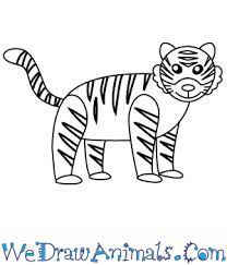 How To Draw A Simple Bengal Tiger For Kids Out of the entire population of tigers in the wild, only about 3% are left, and 97% were completely wiped out in a period of just 100 years how to draw a simple bengal tiger for kids