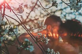 Prostitution ist in praktisch jedem kulturkreis zu finden. Sex In Der Offentlichkeit Erlaubt Oder Strafbar Brigitte De