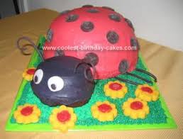 Garnish with an extra sprinkle of cinnamon and a piece of dark chocolate on top. Coolest Ladybug Ice Cream Cake